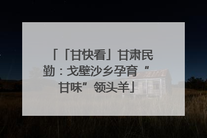 「甘快看」甘肃民勤：戈壁沙乡孕育“甘味”领头羊