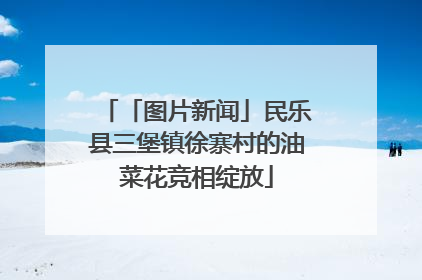 「图片新闻」民乐县三堡镇徐寨村的油菜花竞相绽放