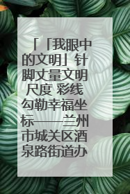 「我眼中的文明」针脚丈量文明尺度 彩线勾勒幸福坐标——兰州市城关区酒泉路街道办事处