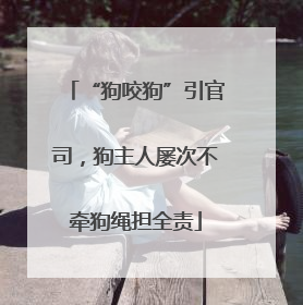 “狗咬狗”引官司，狗主人屡次不牵狗绳担全责