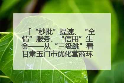 “秒批”提速、“全情”服务、“信用”生金——从“三级跳”看甘肃玉门市优化营商环境的进阶之路