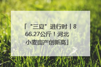 “三夏”进行时丨866.27公斤！河北小麦亩产创新高