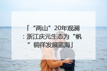 “两山”20年观澜：浙江庆元生态为“帆”徜徉发展蓝海