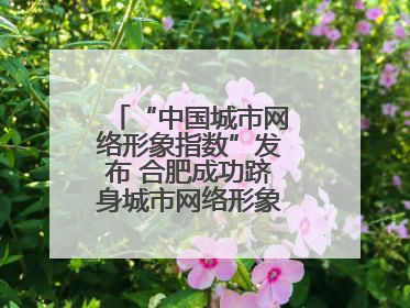 “中国城市网络形象指数”发布 合肥成功跻身城市网络形象榜单第一方阵