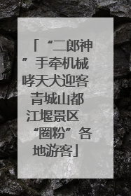 “二郎神”手牵机械哮天犬迎客 青城山都江堰景区 “圈粉”各地游客