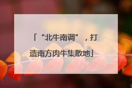 “北牛南调”，打造南方肉牛集散地