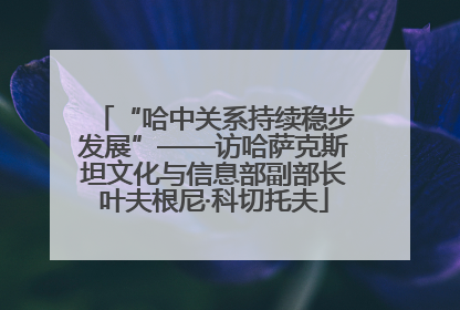 “哈中关系持续稳步发展”——访哈萨克斯坦文化与信息部副部长叶夫根尼·科切托夫
