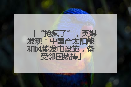 “抢疯了”，英媒发现：中国产太阳能和风能发电设施，备受邻国热捧
