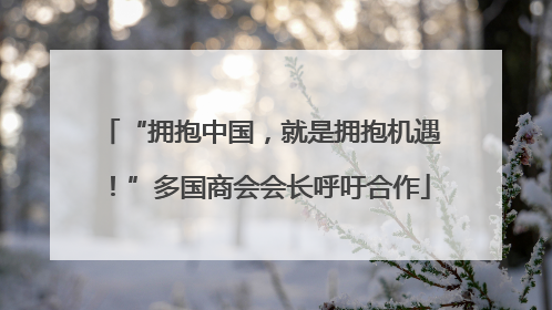 “拥抱中国，就是拥抱机遇！”多国商会会长呼吁合作