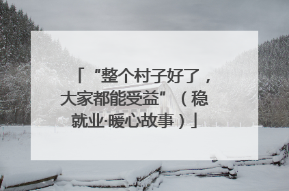 “整个村子好了，大家都能受益”（稳就业·暖心故事）