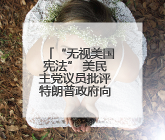 “无视美国宪法” 美民主党议员批评特朗普政府向洛杉矶派兵
