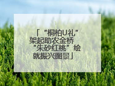 “桐柏U礼”架起助农金桥 “朱砂红桃”绘就振兴图景