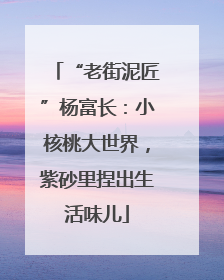 “老街泥匠”杨富长：小核桃大世界，紫砂里捏出生活味儿