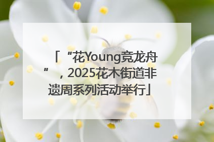 “花Young竞龙舟”，2025花木街道非遗周系列活动举行