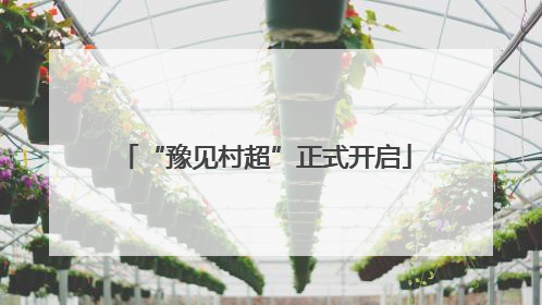 “豫见村超”正式开启