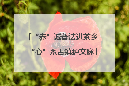 “赤”诚普法进茶乡 “心”系古镇护文脉