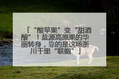 “酸苹果”变“甜酒酿”！盐源高原果的华丽转身，靠的是这场浙川千里“联姻”