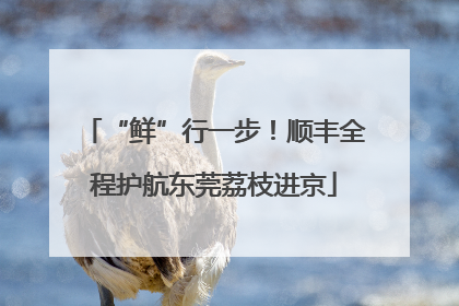 “鲜”行一步！顺丰全程护航东莞荔枝进京