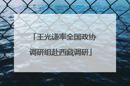 王光谦率全国政协调研组赴西藏调研