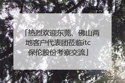 热烈欢迎东莞、佛山两地客户代表团莅临itc保伦股份考察交流
