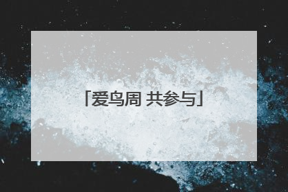 爱鸟周 共参与