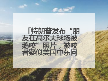 特朗普发布“朋友在高尔夫球场被鹅咬”照片，被咬者疑似美国中东问题特使