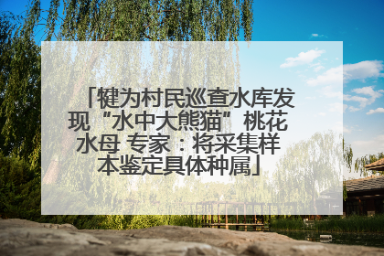 犍为村民巡查水库发现“水中大熊猫”桃花水母 专家：将采集样本鉴定具体种属