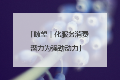 瞭望｜化服务消费潜力为强劲动力