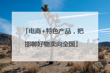 电商+特色产品，把邯郸好物卖向全国