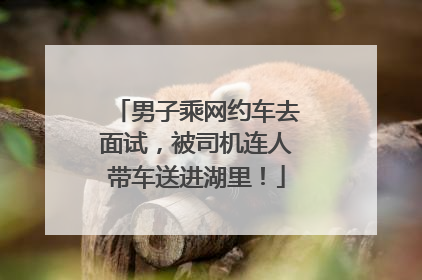 男子乘网约车去面试，被司机连人带车送进湖里！