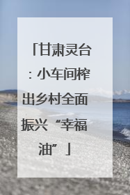 甘肃灵台：小车间榨出乡村全面振兴“幸福油”