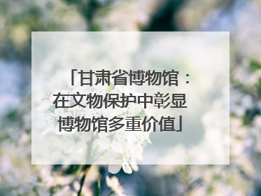 甘肃省博物馆：在文物保护中彰显博物馆多重价值