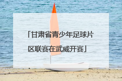 甘肃省青少年足球片区联赛在武威开赛