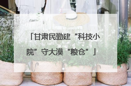 甘肃民勤建“科技小院”守大漠“粮仓”