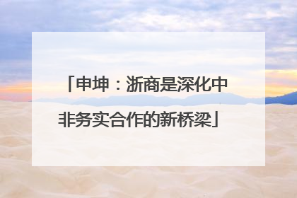 申坤：浙商是深化中非务实合作的新桥梁