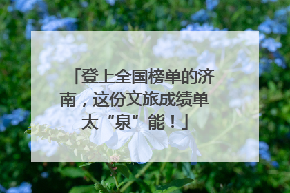 登上全国榜单的济南，这份文旅成绩单太“泉”能！