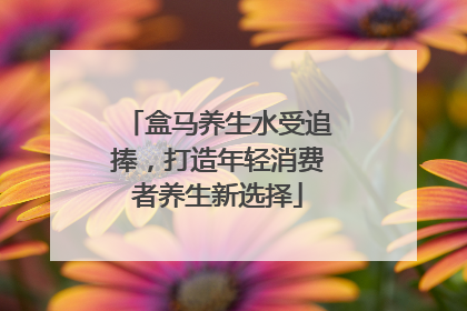 盒马养生水受追捧，打造年轻消费者养生新选择