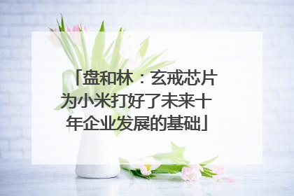盘和林：玄戒芯片为小米打好了未来十年企业发展的基础