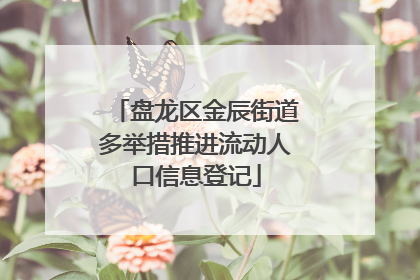 盘龙区金辰街道多举措推进流动人口信息登记