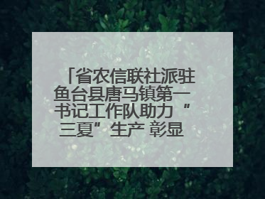 省农信联社派驻鱼台县唐马镇第一书记工作队助力“三夏”生产 彰显为民担当