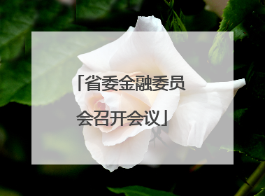 省委金融委员会召开会议