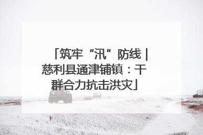 筑牢“汛”防线｜慈利县通津铺镇：干群合力抗击洪灾
