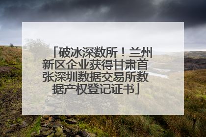 破冰深数所！兰州新区企业获得甘肃首张深圳数据交易所数据产权登记证书