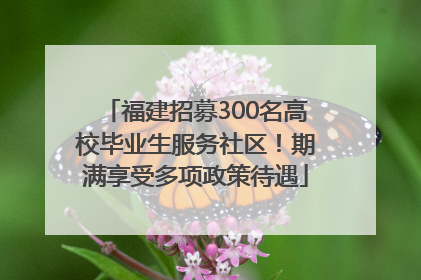 福建招募300名高校毕业生服务社区！期满享受多项政策待遇
