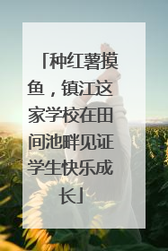 种红薯摸鱼，镇江这家学校在田间池畔见证学生快乐成长