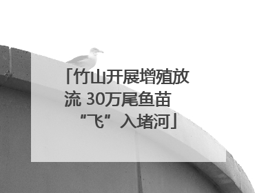 竹山开展增殖放流 30万尾鱼苗“飞”入堵河