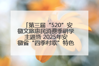 第三届“520”安徽文旅惠民消费季研学主题暨 2025年安徽省“四季村歌”特色展演燃动池州