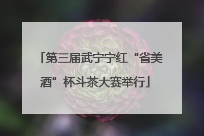 第三届武宁宁红“省美酒”杯斗茶大赛举行