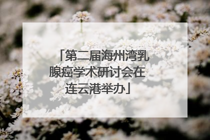 第二届海州湾乳腺癌学术研讨会在连云港举办