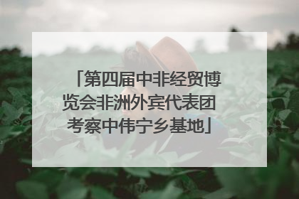 第四届中非经贸博览会非洲外宾代表团考察中伟宁乡基地
